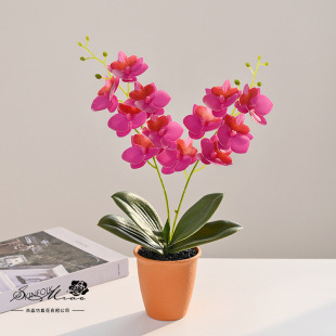 Fake Flowers 12 Flowers Phalaenopsis Potted Artificial Flowers Fashion Creative Flower Decoration Ornaments Artificial Green Plants Artificial Potted Plants