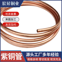 SҬF؛T2~ܿ{~ ~P|T2~ܲ