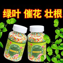 花卉通用控释肥营养肥多肉颗粒缓释肥发财树氮磷钾复合肥养花土壤