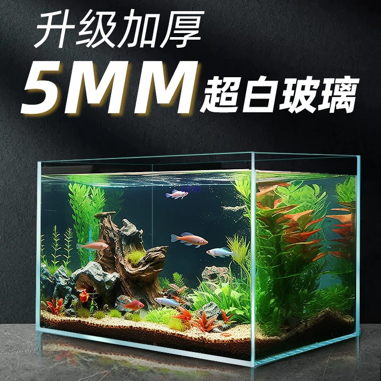Aquarium glass tank, ultra-white (Jinjing) rectangular, multiple sizes, 4–6 mm thickness