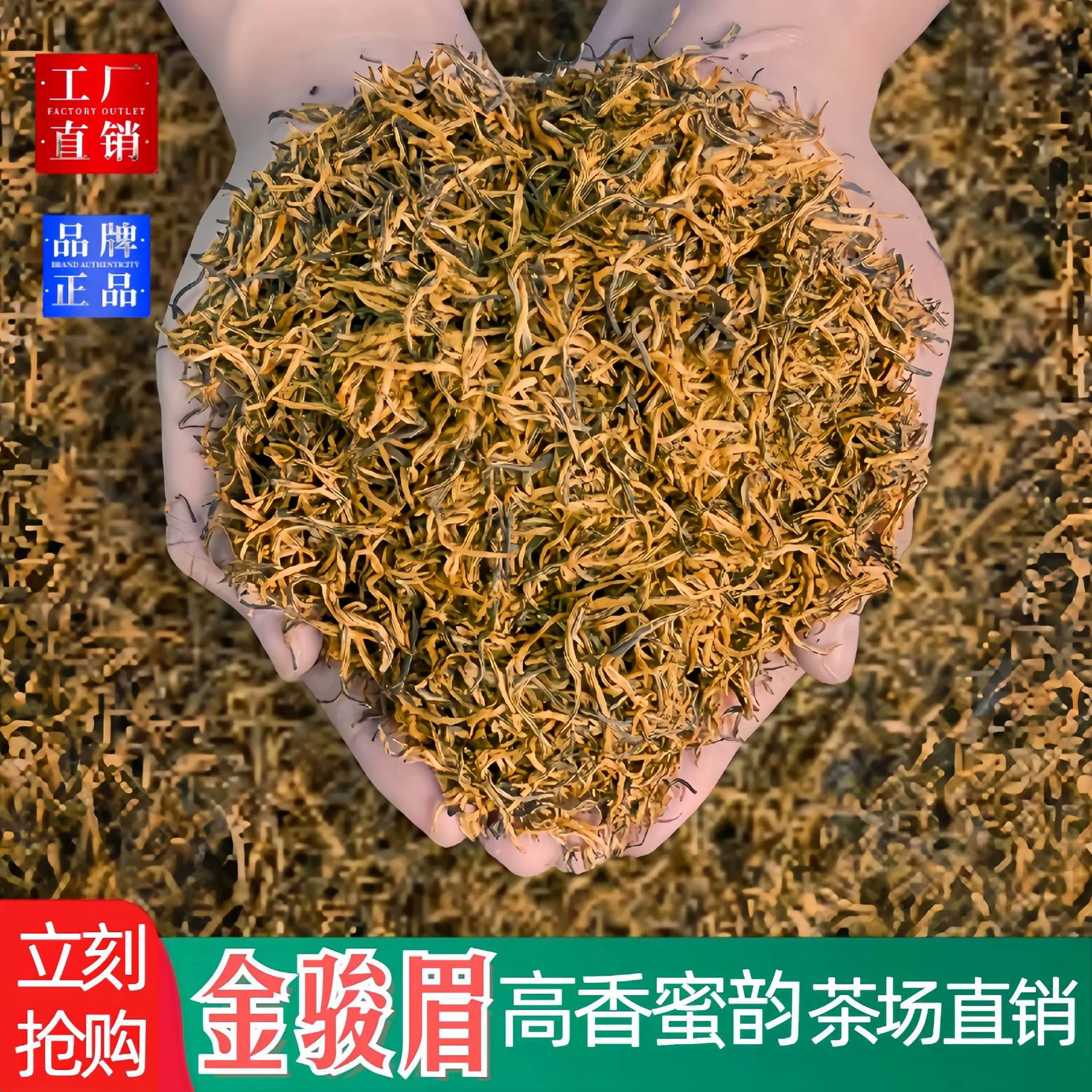 金骏眉红茶茶叶批发厂家直销新茶散装高香浓香型黄芽蜜香送礼500g