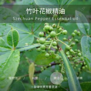 �Ჴ�� | �M�� �ЙC ���~�����η�����  ���l