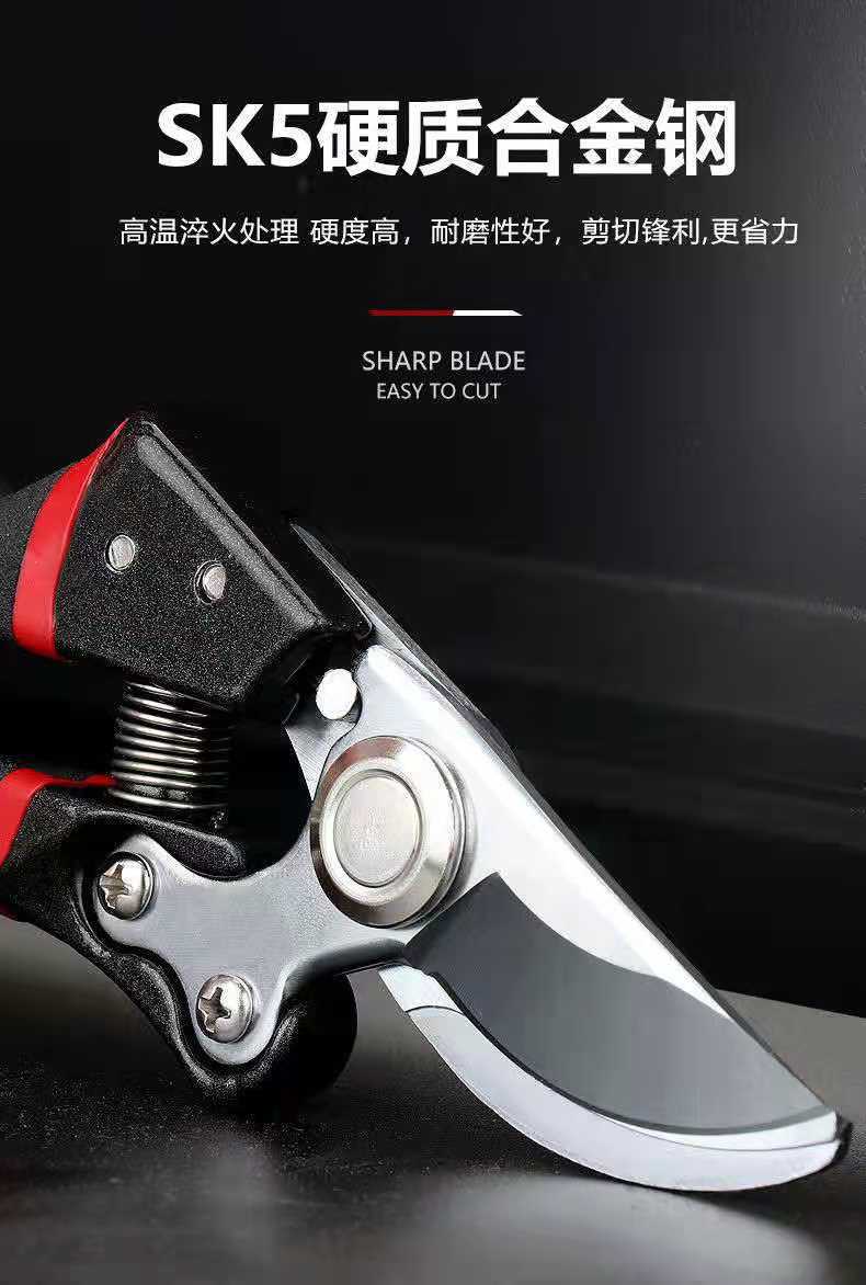 ΢��ͼƬ_202109082128484