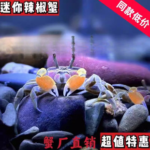 ����з����з�����~���^�pз��ˮ���w�ݸ׿���ˮ�BֳС�з����з