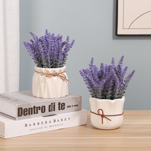 ޹�²ݼٻ����[�O�͏d�������[���b��ܻ�ƿ��ˇ�[��������