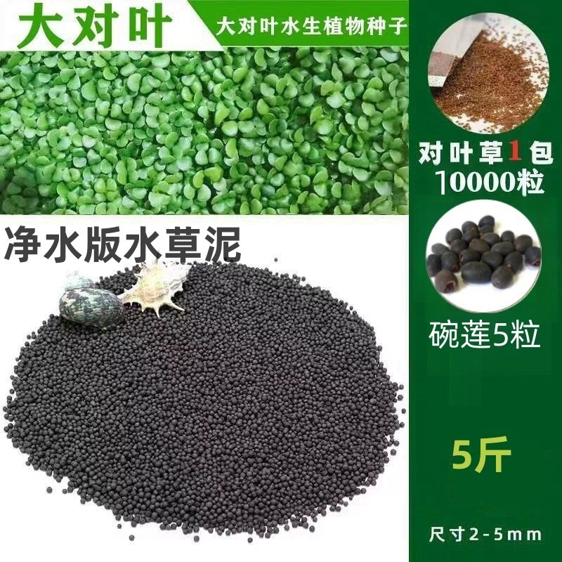 [핫세일] 워터그라스머드 2.5kg - 큰잎무료 10,000개 + 그릇연꽃 5개