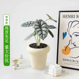 ����M�����Ի���ֲ���҃������J�C�lؔ��Ȥ�k���ҾGֲ���B���ļ�