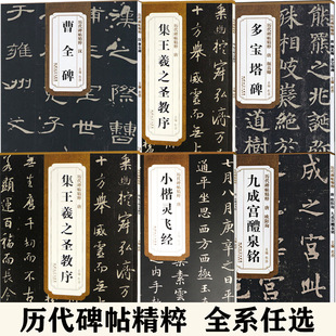 ��ȫ�� �v���������� �������Të�P������ ���W�߾��� �Ї�������