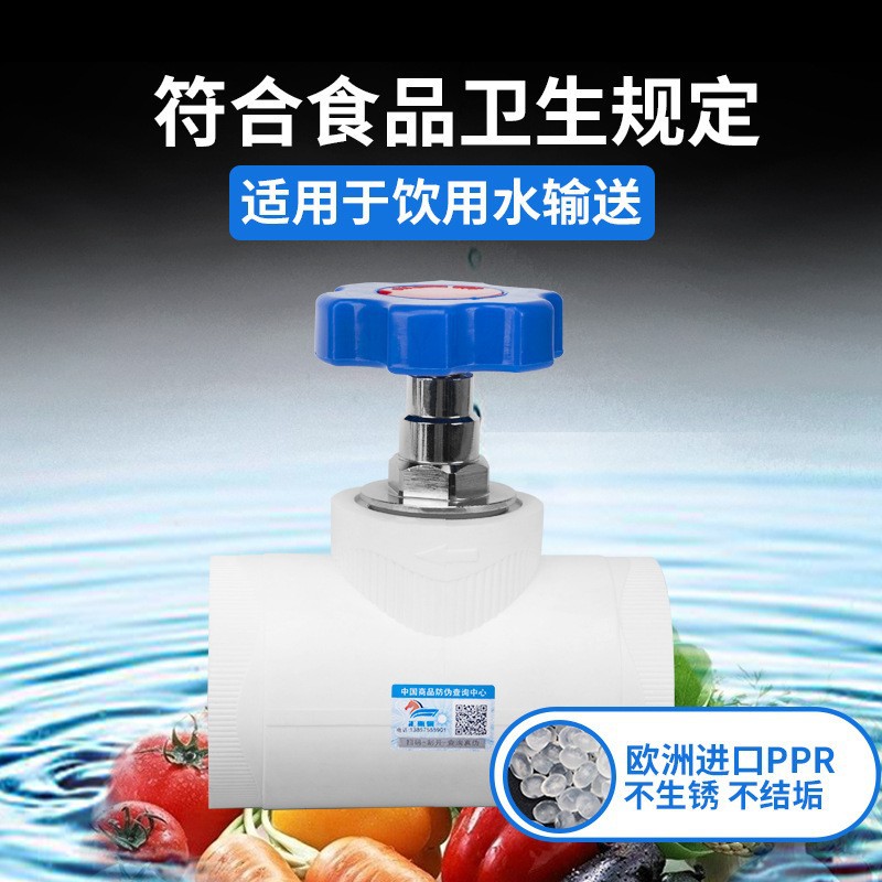 Accesorios de tubería de agua PPR válvula de parada colección completa accesorios de tubería de fusión en caliente válvula de cierre de elevación válvula de compuerta de cierre de agua