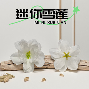 ���滨������ѩɏ�����^�S��ֱ�N�������Ҿ��bҾ��b�绨��