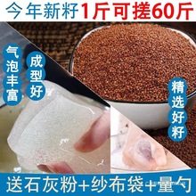 手搓冰粉籽商用特好级手工冰粉材料配料全套摆摊野生云南冰籽籽