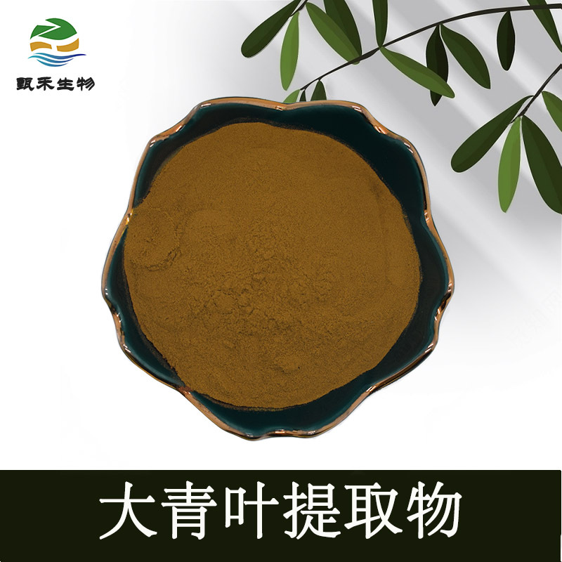 甄禾   大青叶提取物30:1 大青叶粉 萃取 植物提取物 粉末原料