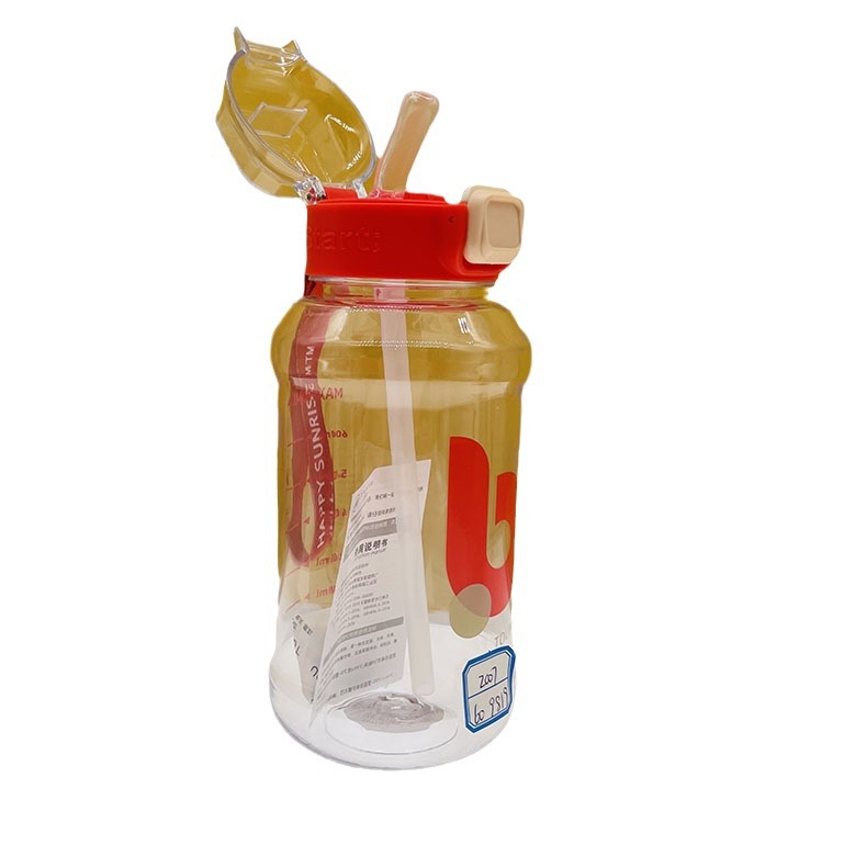 Dumedo 2022PC plástico taza de paja estudiante deportes al aire libre botella de agua portátil taza de agua taza de espacio fábrica al por mayor