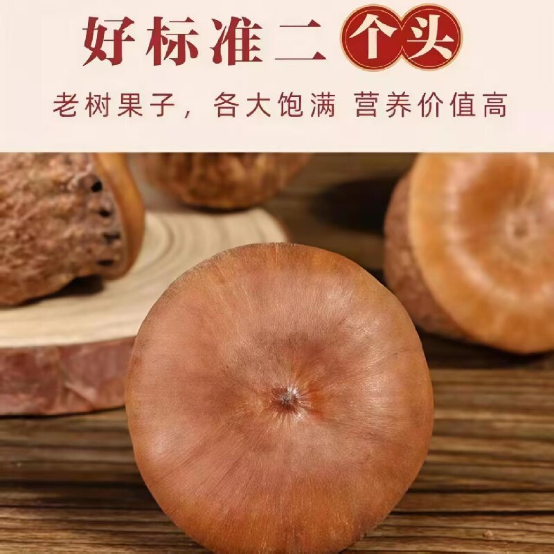 Feng Liu Guo (Lithocarpus/Sclerophyllous Oak Fruit) — Dried Food Herb for Wine Infusion & Soup quality and texture