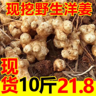 ���F؛����ֵ10�����r��Ұ�����ӽ���������u���ݲ��������]