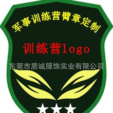 厂家批发集训营魔术贴绣徽章胸标军训训练营臂章领章胸标徽章订做