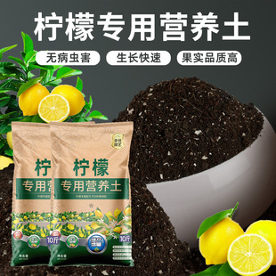 ��ˮ���ʘ����I�B�����������������������ϷʷNֲ��