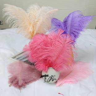 �S�����l��ɫ�r�Bë25-30cm��̨��ë�b�ƿ�����c�r�B��ë