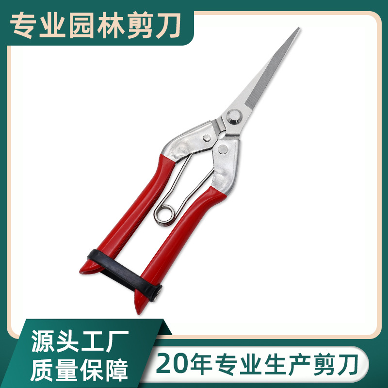 厂家批发浸塑柄修枝剪不锈钢直头园林剪园艺稀果采摘剪刀枝剪修花