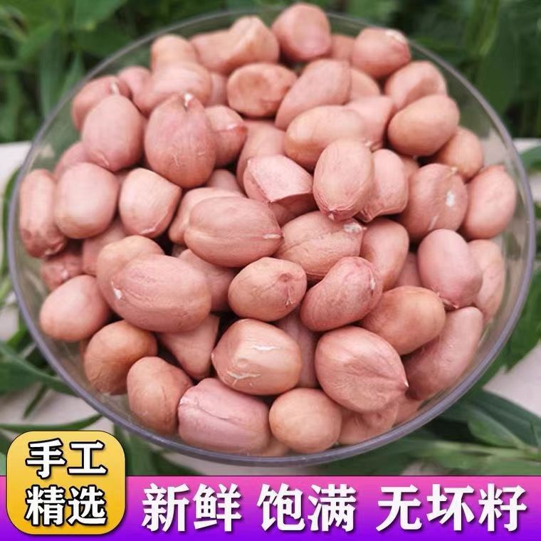 24年新鲜饱满白沙花生米大白沙新货白皮生花生米农家大粒花生仁|undefined