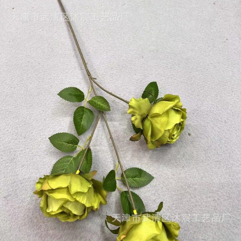 3頭のアカシアのバラはヨーロッパ式の油絵のバラの家庭の撮影の結婚式の撮影の道具の装飾の花をシミュレーションします。|undefined