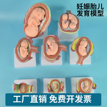 Ӌ�������������� ������̥�l��ģ��8���� ����̥���l���^��ģ��