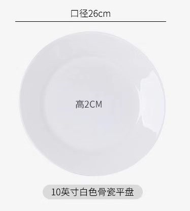 10 인치 플랫 플레이트