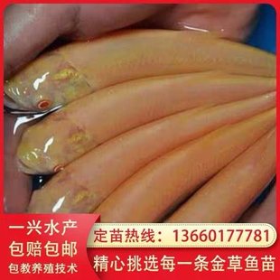 ��Ʒ����~����_˹��ɫ���~����w�t���~��z���~�絭ˮ�Bֳ���]