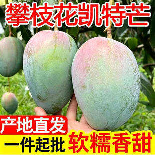 �����Ĵ���֦���P��â����â������â���â���rˮ�������Fժֱ