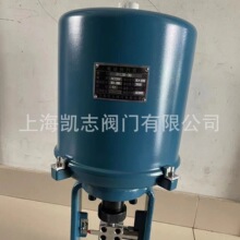 381늄��{���y������ 381LSb-50 5000N���ʽ늄ӈ�����381LSb-30