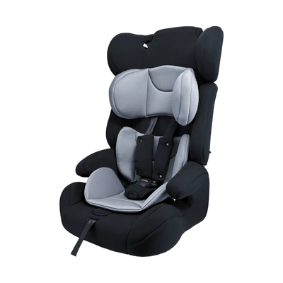 Car child safety seat — Car