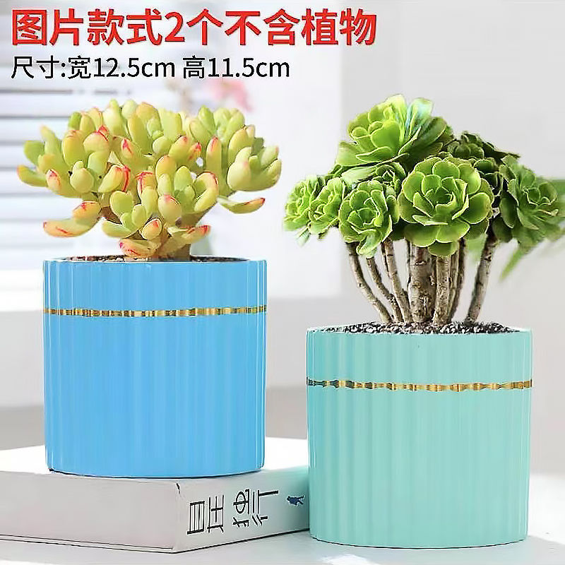 多肉植物の植木鉢セラミック漫画粗い陶器大皿古い杭かわいい通気性のある小さなセット組み合わせ屋内クリア Zhao Zhi Zheng|undefined