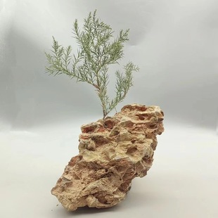 Manufacturers supply turquoise fish tank courtyard garden rockery bonsai landscape with various specifications