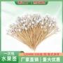 动能小雏菊水果小雏菊