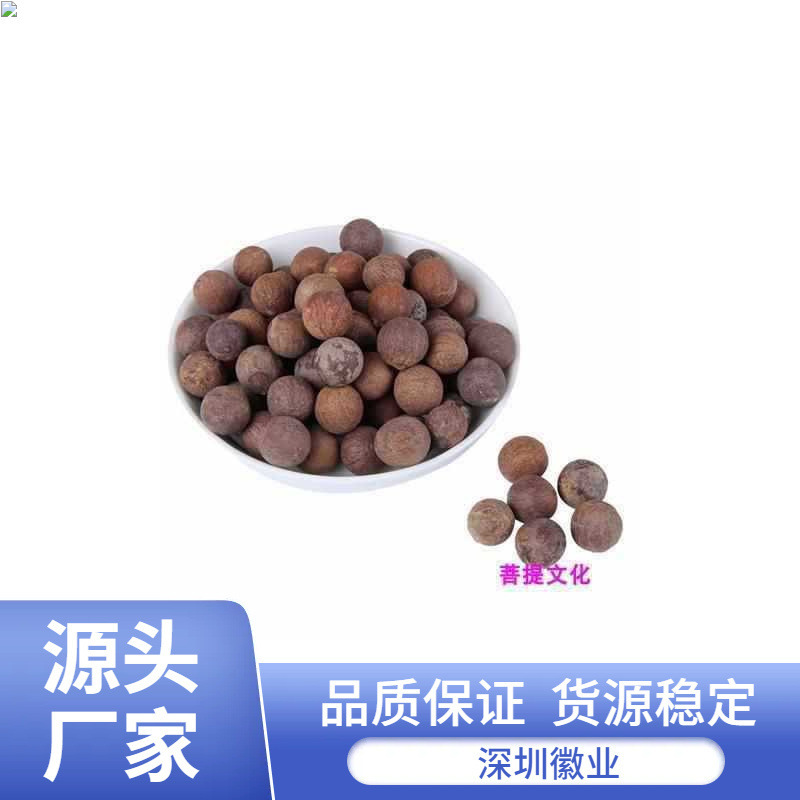 白翡翠菩提根 新菩提種子 白果原果径 - 菩提根大果原料は斤売り|undefined