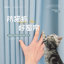 ؈ץ���S��ֱ���������ץ�ϴ������Ƹ��ڹ����Q������ꖺ����l