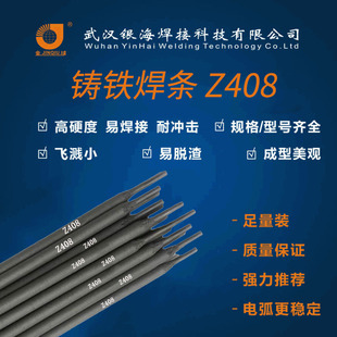 ���Sֱ�N �T�F���l Z408��F�Ͻ𺸗l ENiFe-C1
