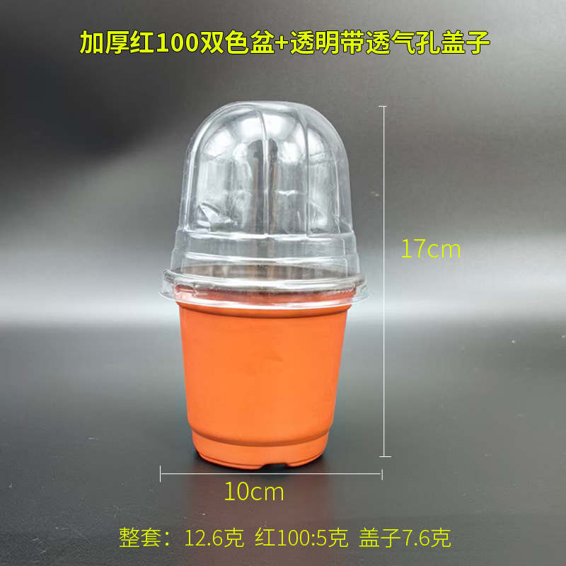 加厚外红内黑双色盆带透明防尘盖育苗盆多肉育苗杯营养杯跨境批发