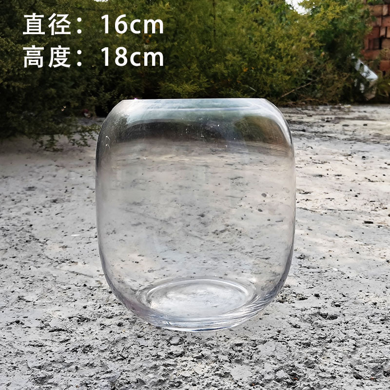 生态瓶微景观鱼小型小鱼缸桌面造景观赏鱼虾diy创意生态鱼缸|undefined