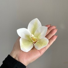���滨�^diy���� 3d��ӡޥ�m�����^� ��Y���ֶY�� �����m���滨