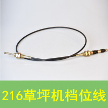 ����216�nλ���W����/���ղ�ƺ�Cͨ��3�n���߸�ݙC�������