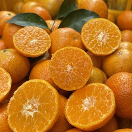 番薯类;柑桔;苹果