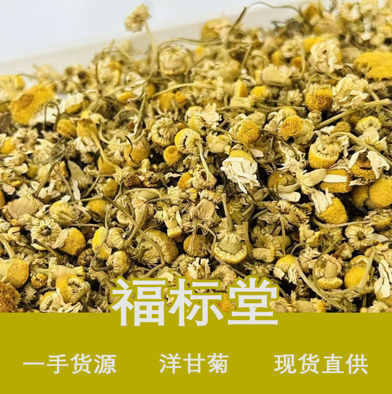 Wholesale Chamomile Herbal Tea, New Arrival Roman Chamomile Tea, Large Quantity and Excellent Price 500g Chamomile Manufacturer