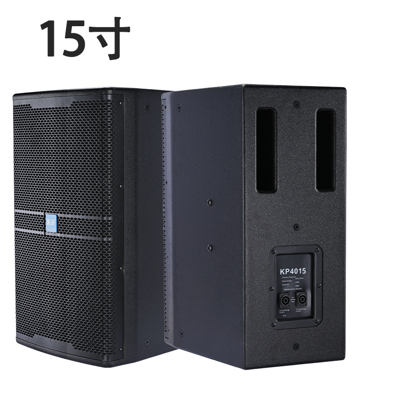 Un altavoz de frecuencia completa de 15 pulgadas (imán de neodimio)