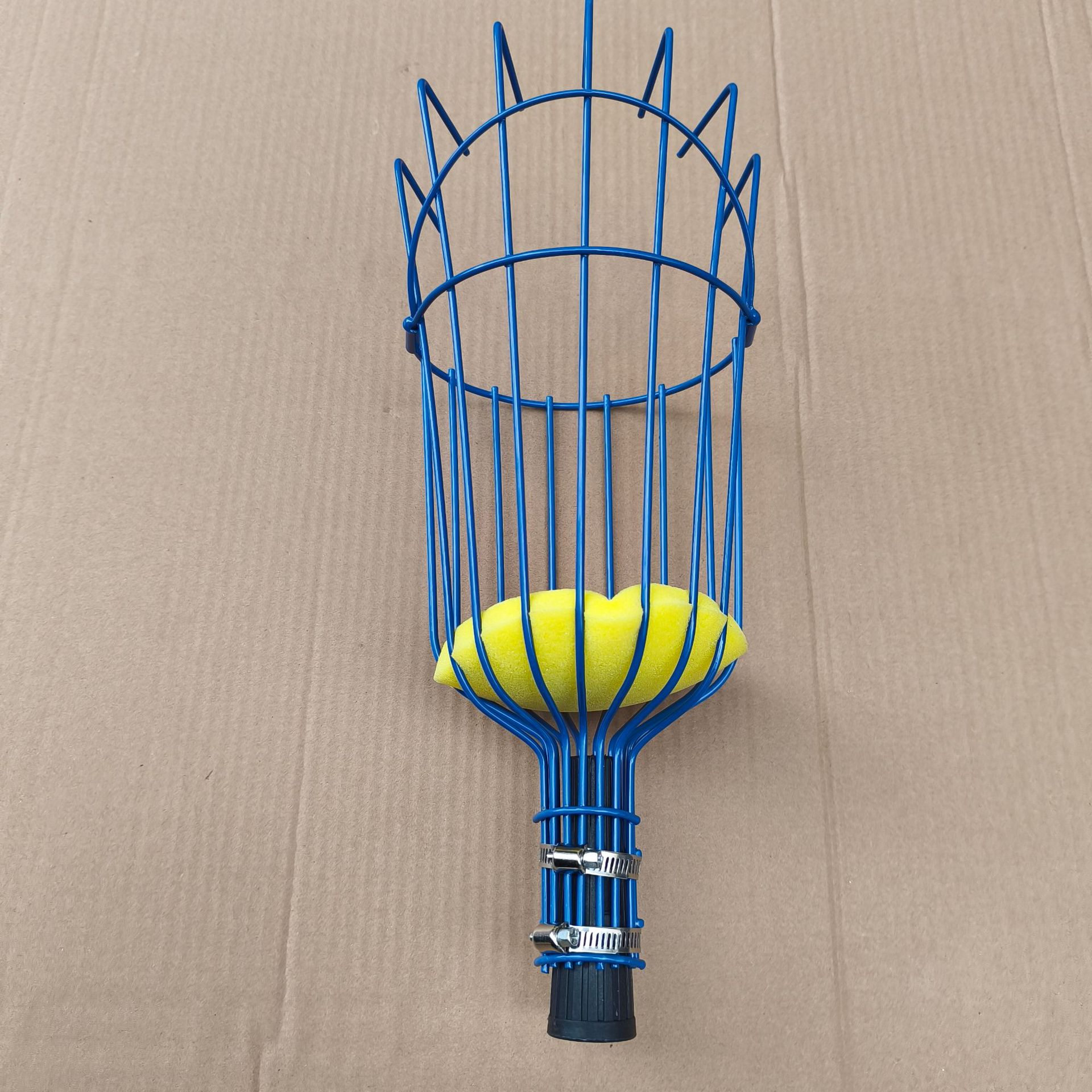 단일 과일 따기 머리 파란색