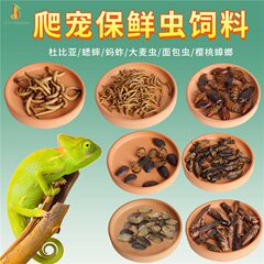爬虫類カエル魚類食品新鮮保持虫コオロギ麦虫杜比亜ムカデ昆娃カエル守宮凍結乾燥飼料