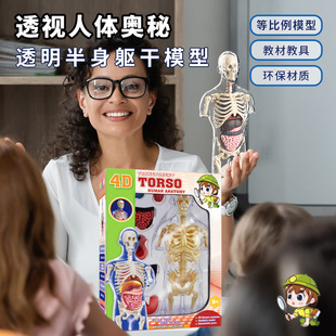 �羳���w�Y��ƴ�bģ�͹������K���ٳ�������̌W�ɲ�ж��ͯ���