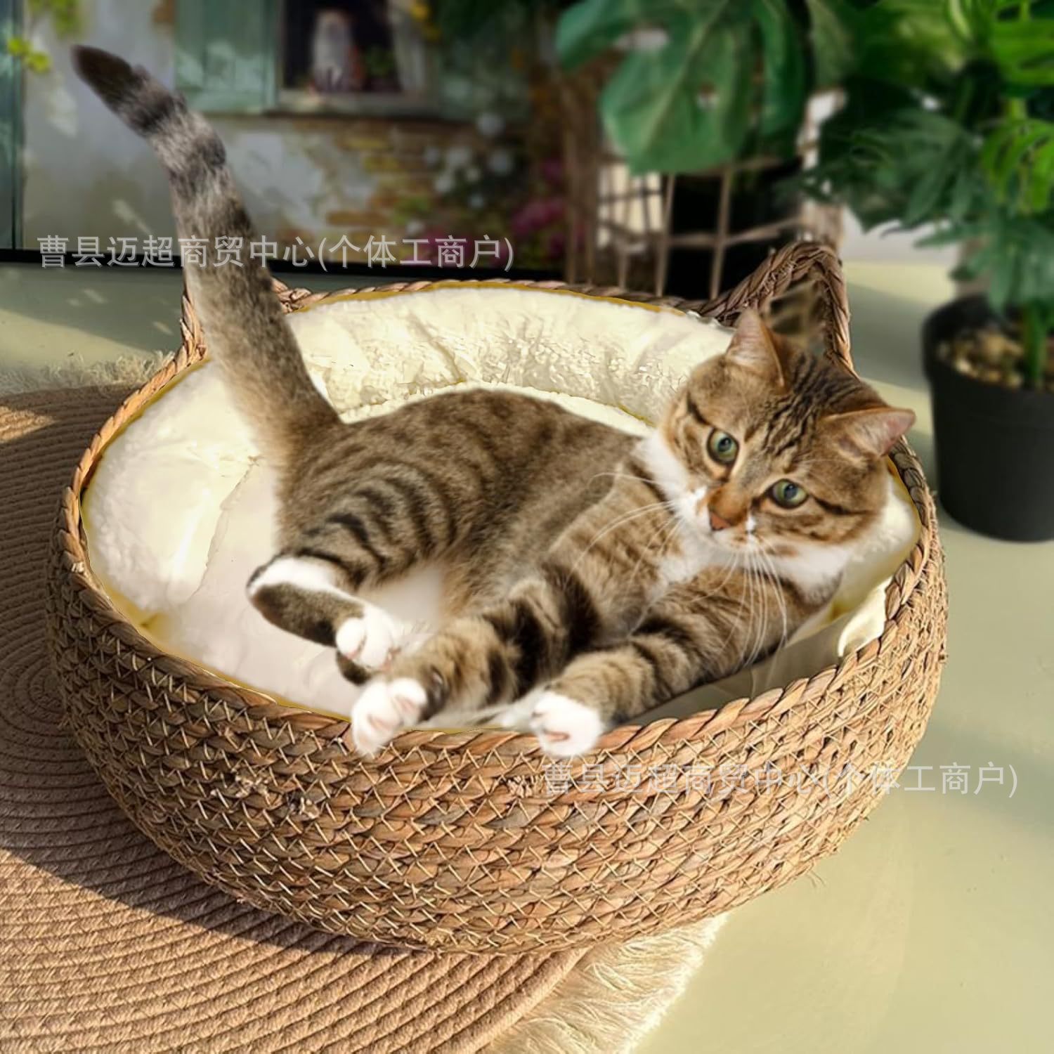现货宠物猫床四季通用编织猫窝专用狗狗猫猫宠物屋猫咪用品猫沙发