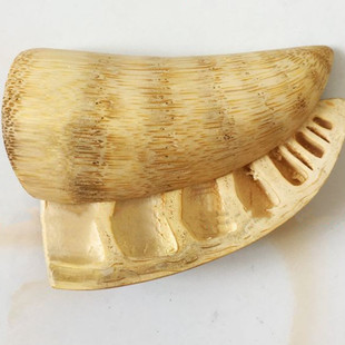 ���S���l����ԾŌm�����}���}�� �Թl������Ȼ����������^��