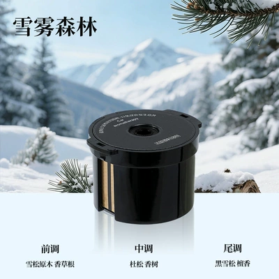 Car Perfume Aromatherapy – Spray - replacement-fragrance-bomb-snow-mist-forest